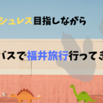 福井旅行とキャッシュレスの現状〜やはりSuicaが優秀〜